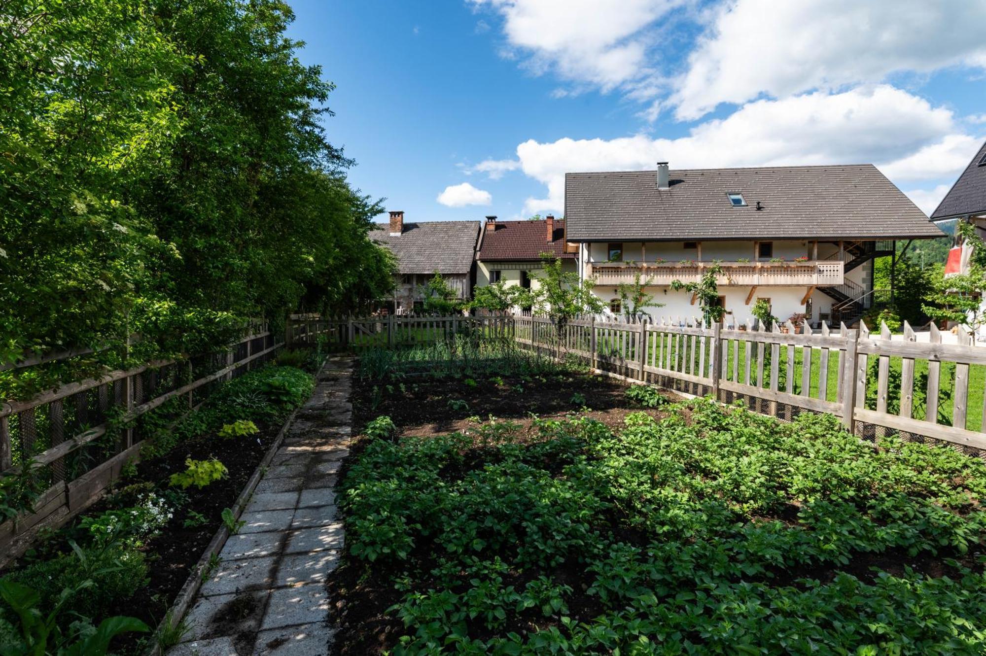 Вилла Turisticna Kmetija Grabnar Блед Экстерьер фото